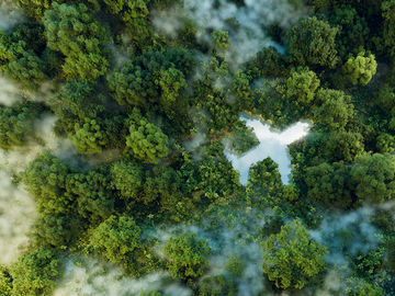  alt="Chooose gets investment from BP, partners to help airlines decarbonize"  title="Chooose gets investment from BP, partners to help airlines decarbonize" 